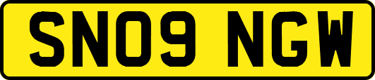 SN09NGW