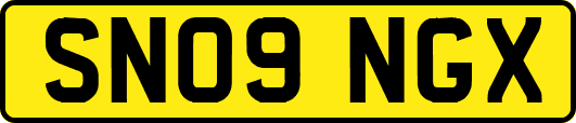 SN09NGX