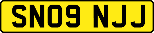 SN09NJJ