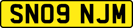 SN09NJM