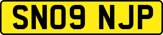 SN09NJP