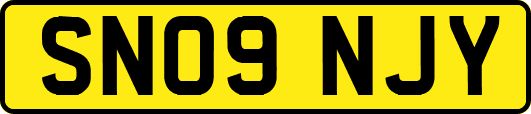 SN09NJY
