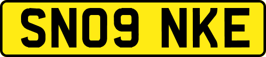 SN09NKE