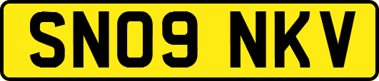 SN09NKV