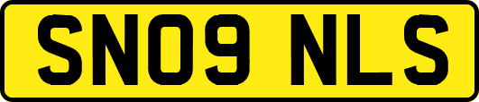 SN09NLS