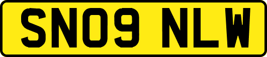 SN09NLW