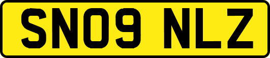 SN09NLZ