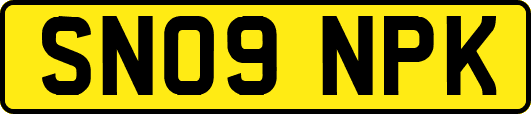 SN09NPK