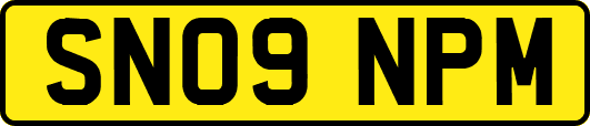 SN09NPM