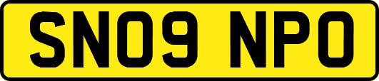 SN09NPO