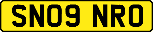 SN09NRO