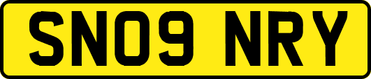SN09NRY