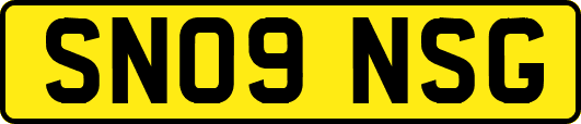 SN09NSG