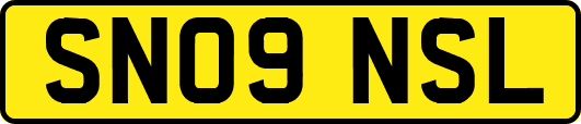SN09NSL