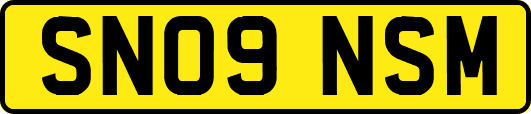 SN09NSM