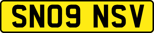 SN09NSV