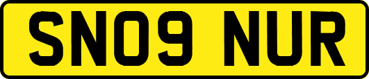 SN09NUR