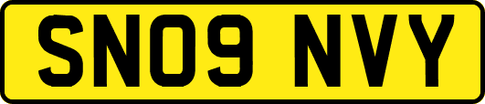 SN09NVY