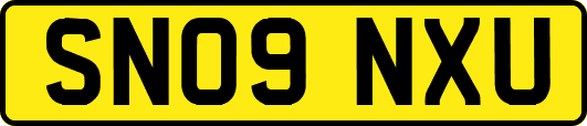 SN09NXU