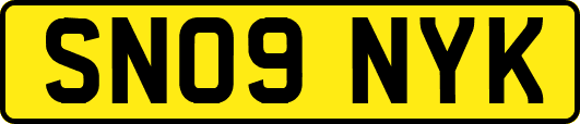 SN09NYK