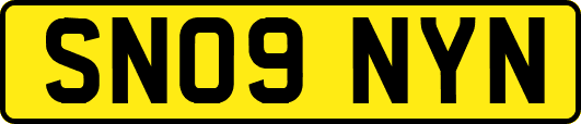 SN09NYN