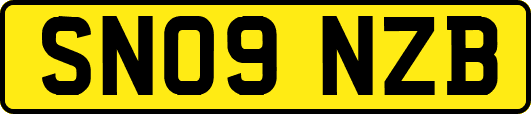 SN09NZB