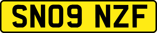 SN09NZF