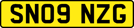 SN09NZG