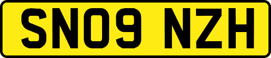 SN09NZH