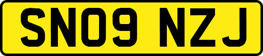 SN09NZJ