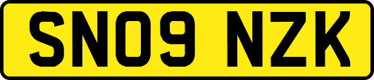SN09NZK