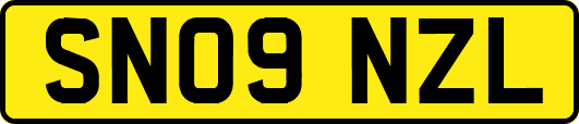 SN09NZL