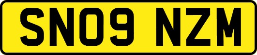 SN09NZM