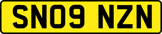 SN09NZN