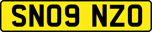 SN09NZO