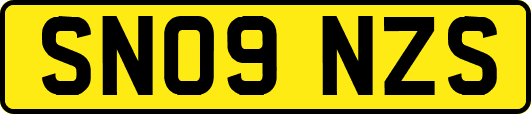 SN09NZS