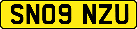 SN09NZU