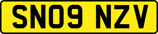 SN09NZV