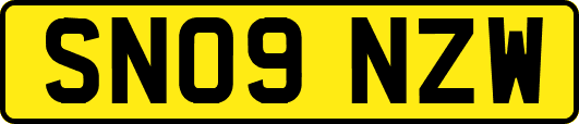 SN09NZW