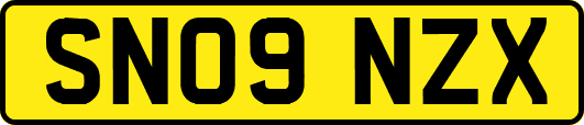 SN09NZX