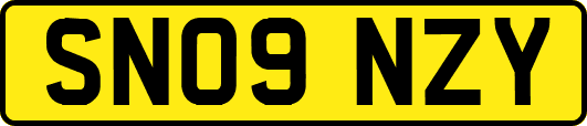 SN09NZY