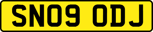 SN09ODJ