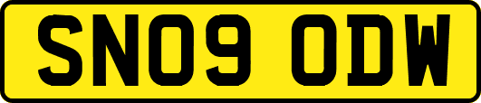 SN09ODW