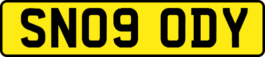 SN09ODY