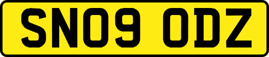 SN09ODZ