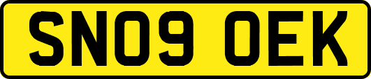 SN09OEK