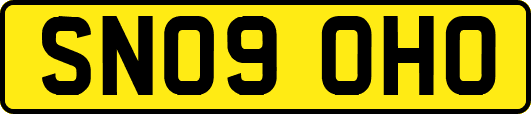 SN09OHO