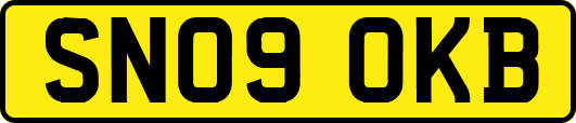 SN09OKB