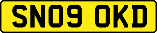SN09OKD