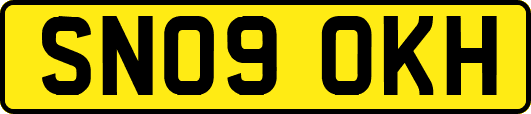 SN09OKH